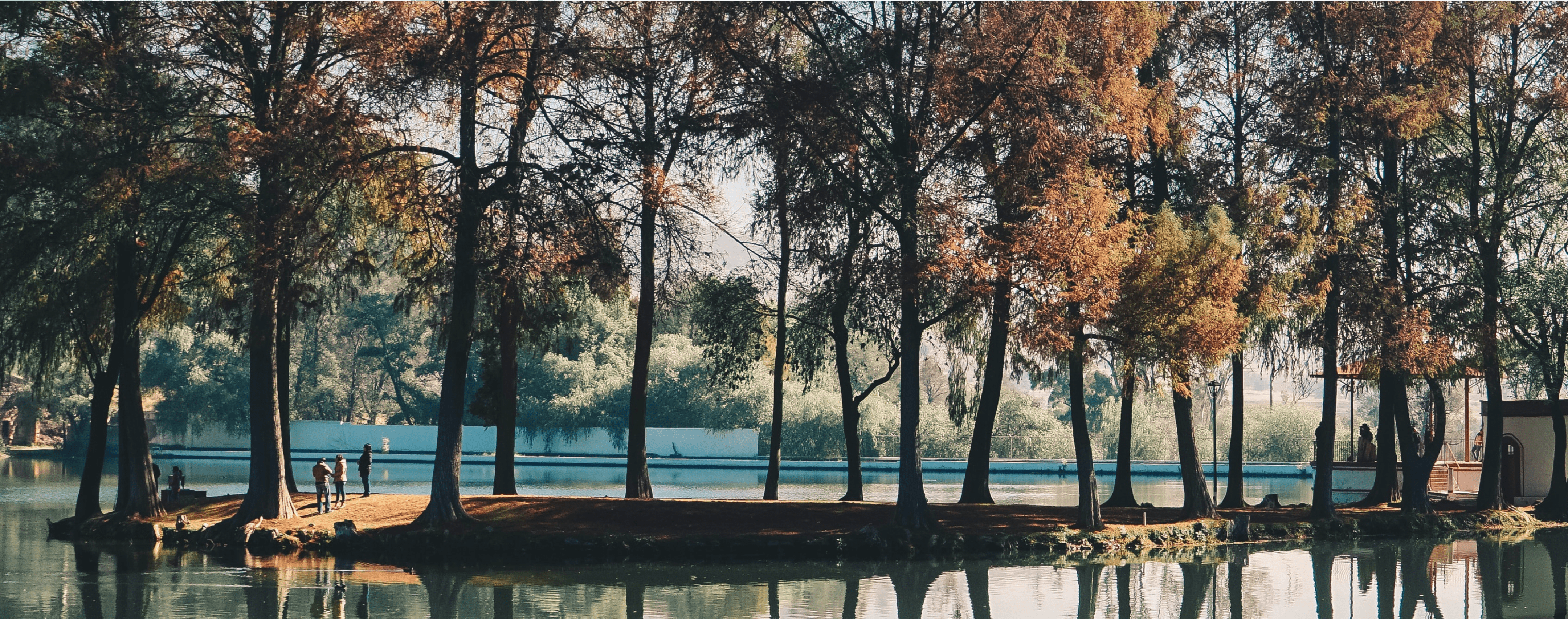 A tranquil lake surrounded by trees with autumn foliage, reflecting the colorful leaves on the water.