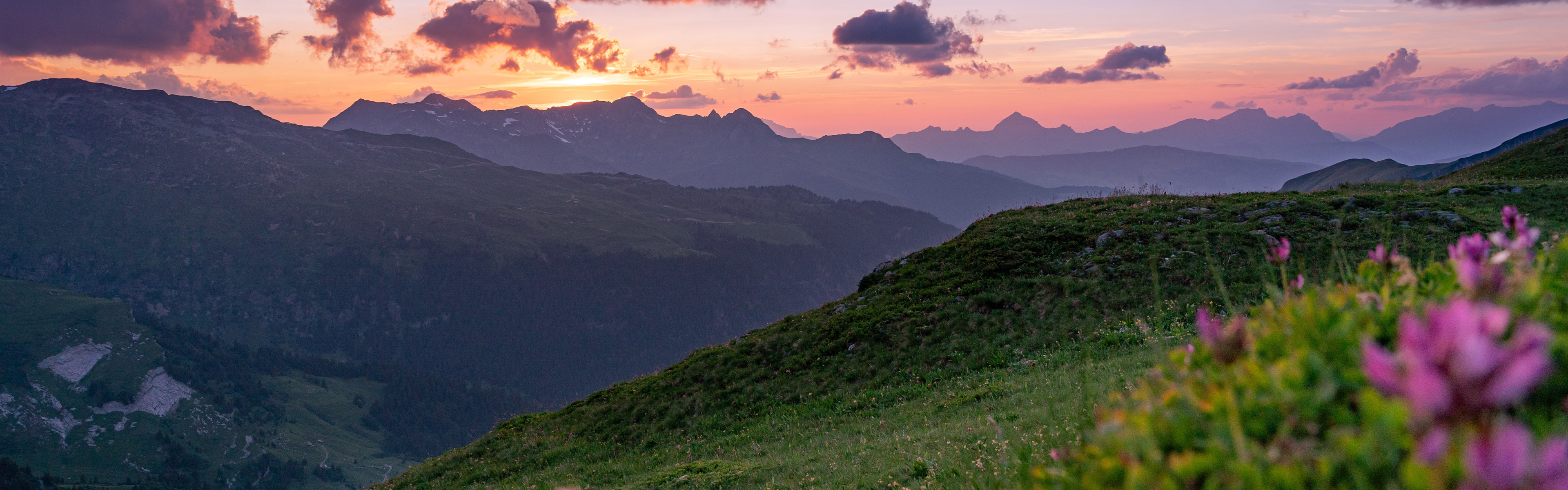 A panoramic view of rolling green mountains and valleys under a colorful sunset sky, with purple flowers in the foreground.